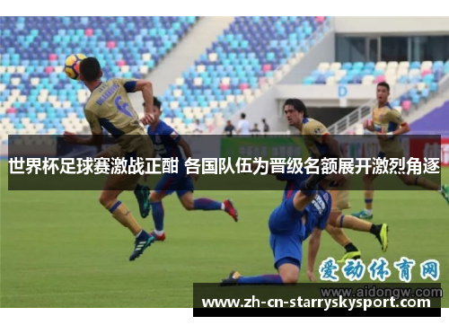 世界杯足球赛激战正酣 各国队伍为晋级名额展开激烈角逐
