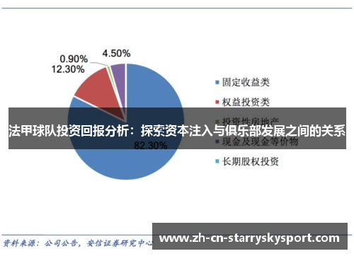 法甲球队投资回报分析：探索资本注入与俱乐部发展之间的关系