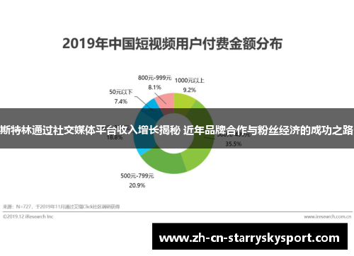 斯特林通过社交媒体平台收入增长揭秘 近年品牌合作与粉丝经济的成功之路