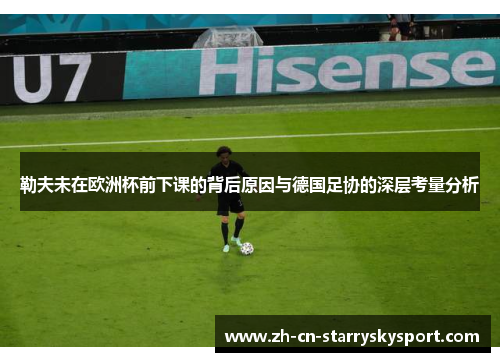 勒夫未在欧洲杯前下课的背后原因与德国足协的深层考量分析
