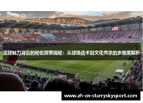 足球魅力背后的秘密探索揭秘：从球场战术到文化传承的多维度解析